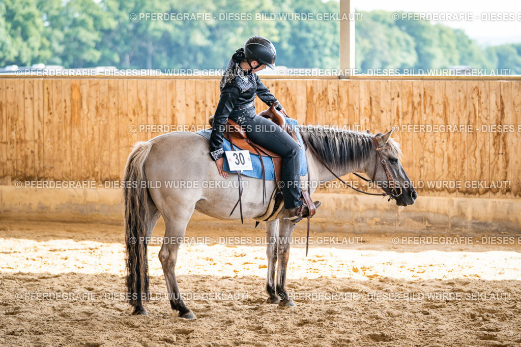 DSC09300 | Pferdegrafie