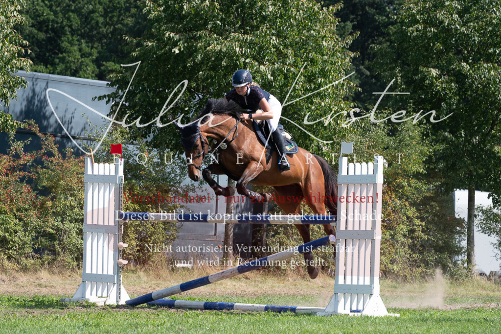 DSC_0799 | Pferde- und Turnierfotografie in Westsachsen. Pferdeportraits, Auftragszeichnungen und intuitive Kunst.