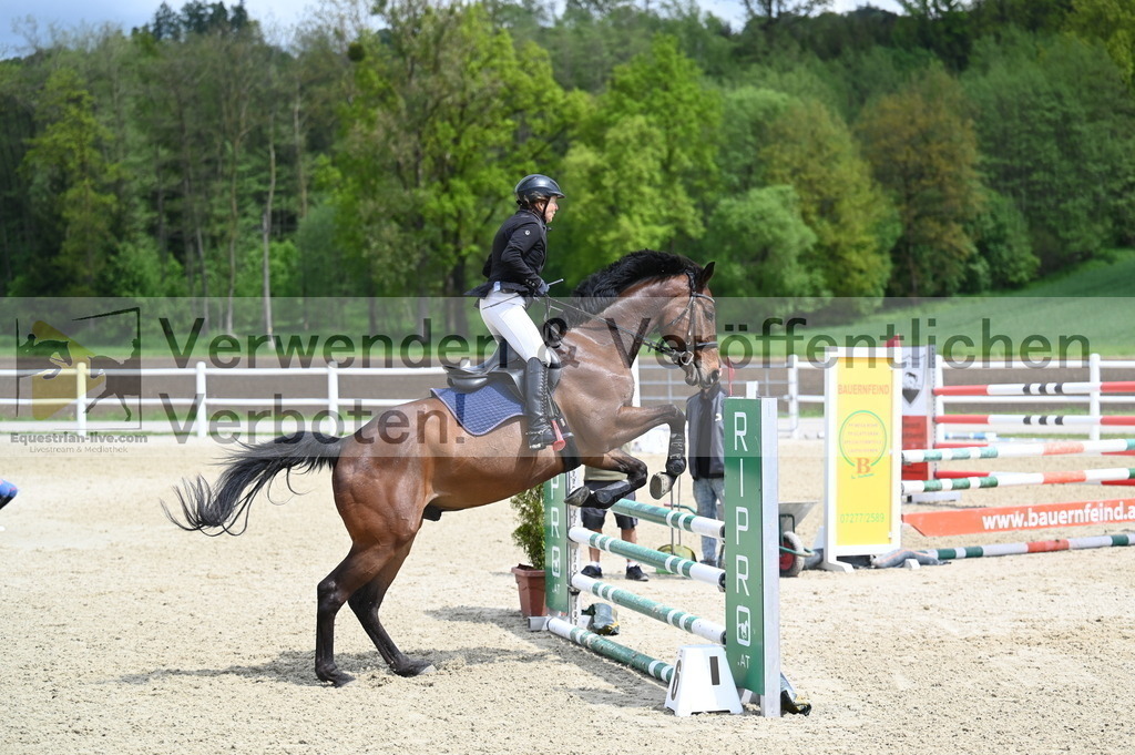 DSC_0777 | equestrian-live-com