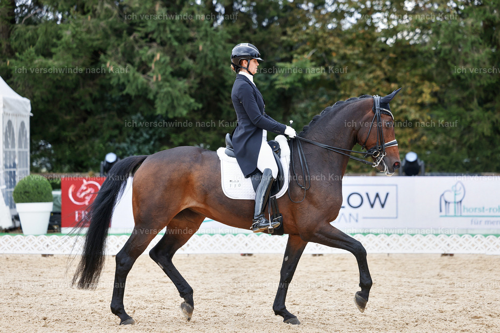 12-110-DRESSUR  S___  -StoibPH-5286 | working equitationturnier fotograf videograf stoibphotography marixx film working equitation deutschland reitsport turnierfotografie eventfotografie equestrian events