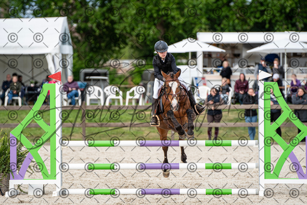 KPT_7175 | andre_photographic