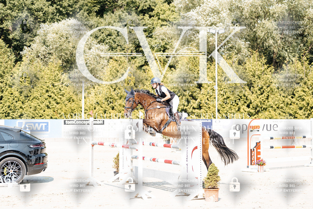 CK901653 | Turnierfotografie Pferdefotografie Trier Rheinland-Pfalz Pferdesport Reitsport Tierfotografie Sportfotografie Pferdevideo Pferdevideografie Equestrianvideography equestrianphotography  - Realisiert mit Pictrs.com