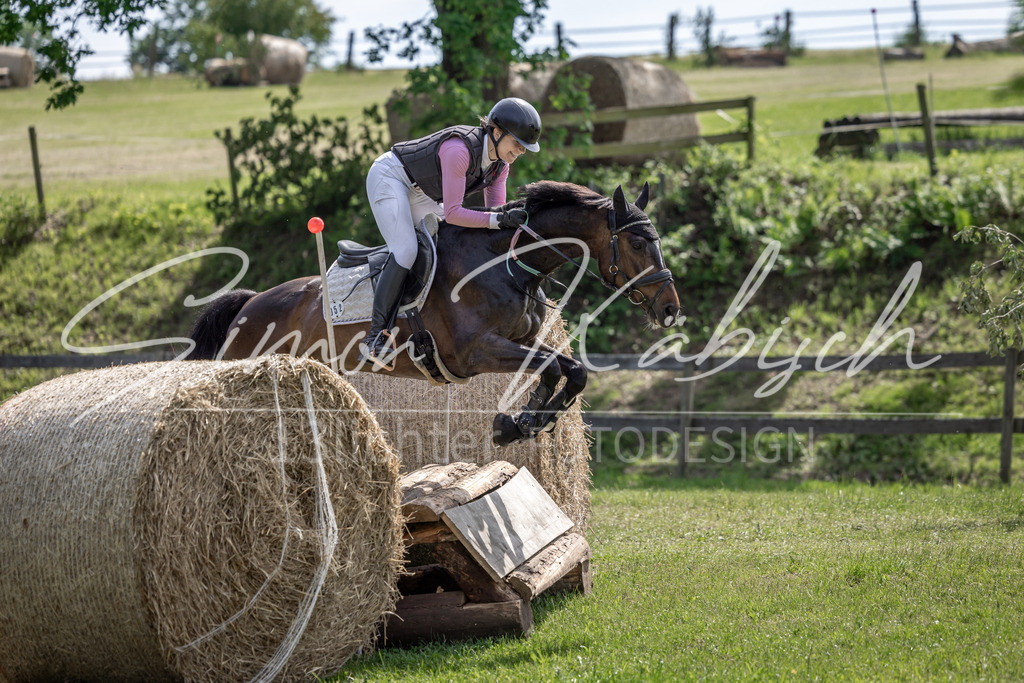 20260523-_3LI9145 | Tierfotografie Pferde, Hunde, Katzen, Haustiere.
Turnierfotografie Reitturniere, Reiten, Springreiten, Dressur in Hanau, dem Main-Kinzig-Kreis und dem Rhein-Main- Gebiet um Frankfurt