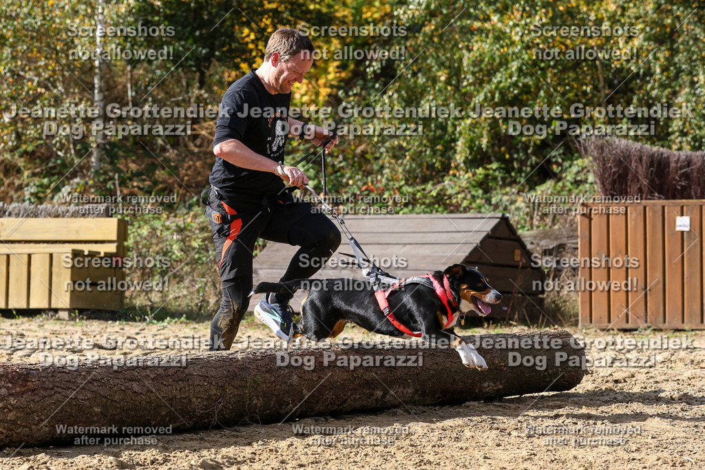 Dog Paparazzi - Strongdog 10-25-5643 | Dog Paparazzi Jeanette Grottendiek Fotografie & Videografie - Realisiert mit Pictrs.com