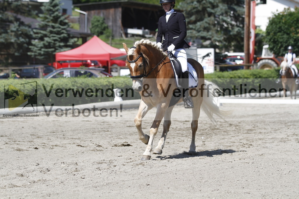 _MG_4172 | equestrian-live-com