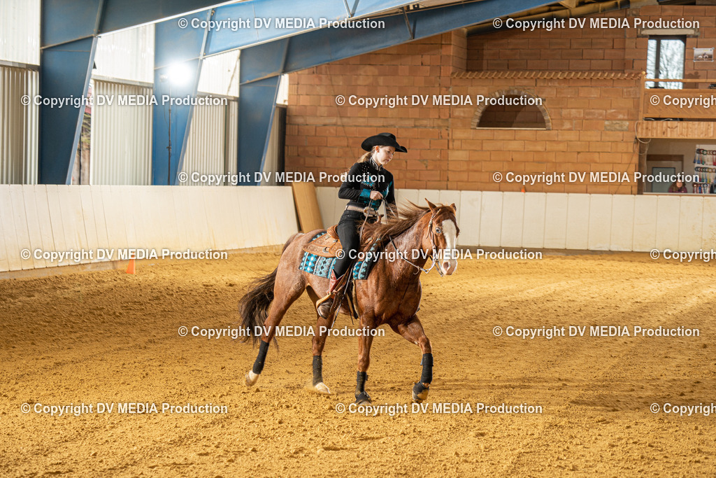 MIT00628 | dv-media-shop - Realisiert mit Pictrs.com