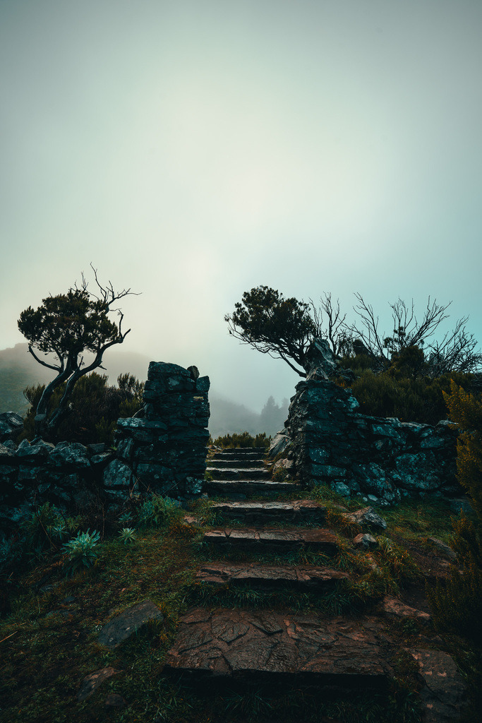 DSC05471 (9) | <meta name="keywords" content="Bergbilder, Hochzeitsfotografie, Actionshootings, Fotografiearbeiten, Berglandschaften, Naturfotografie">

 - Realisiert mit Pictrs.com