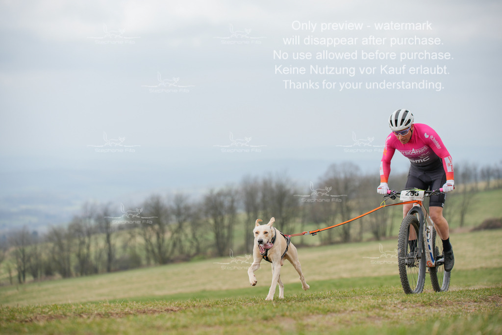 BikeSA-29 | stephaniefillaphotographie - Realisiert mit Pictrs.com