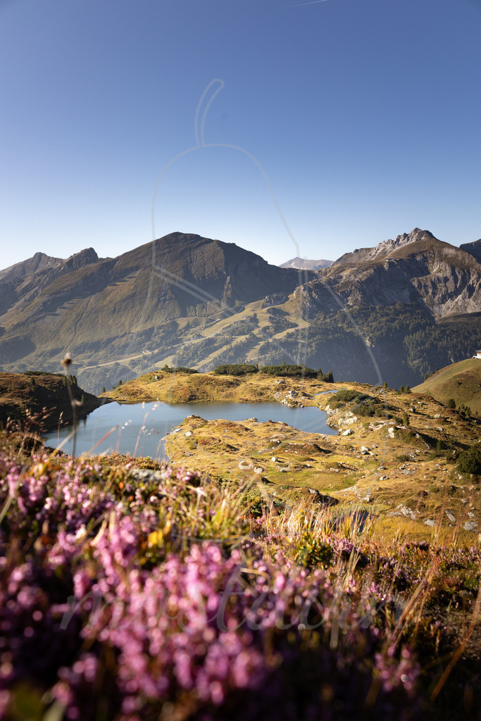 Spätsommer Obertauern | Ihre Fotografin im Lungau, ihre Fotografin im Mostviertel, Wandbilder Onlineshop, Imagefotos für Ihr Unternehmen,  - Realisiert mit Pictrs.com