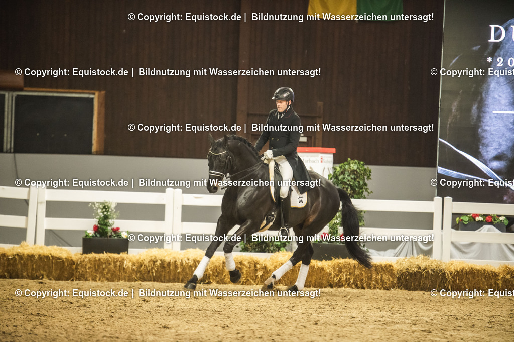 20240302_Hengstvorstellung_Marbach_TOMsPiC_1437-2 | equistock