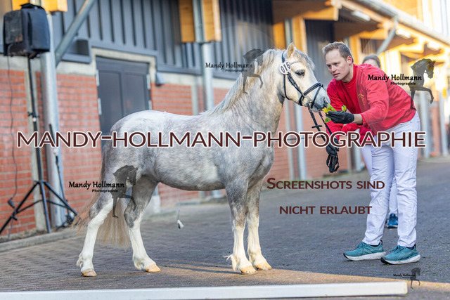 0P2A3166 | mandyhollmannphotographie
