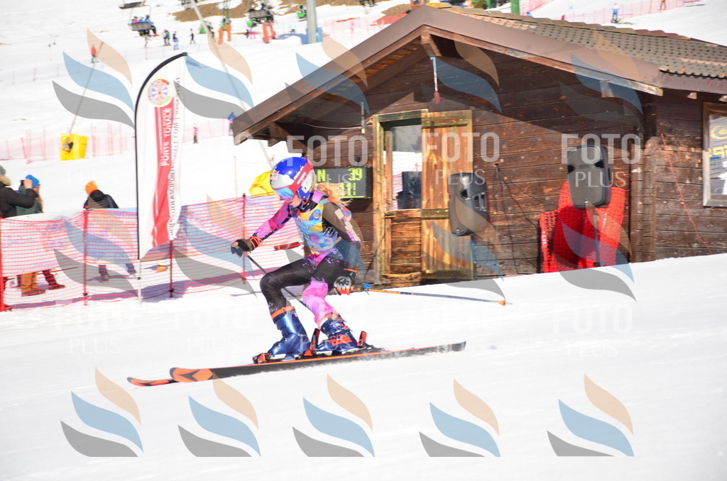 VR4_8657 | holidayphoto