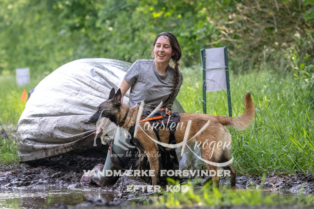 1157_ZZ90502 | kk-dogfotos