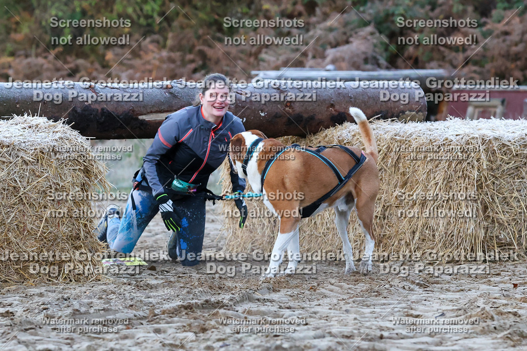 Dog Paparazzi - Strongdog 10-25-77 | Dog Paparazzi Jeanette Grottendiek Fotografie & Videografie - Realisiert mit Pictrs.com