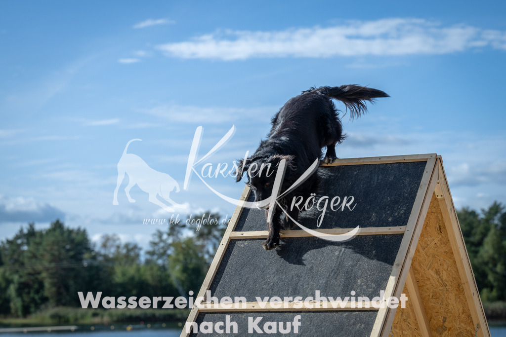 1435_ZZ91608 | kk-dogfotos