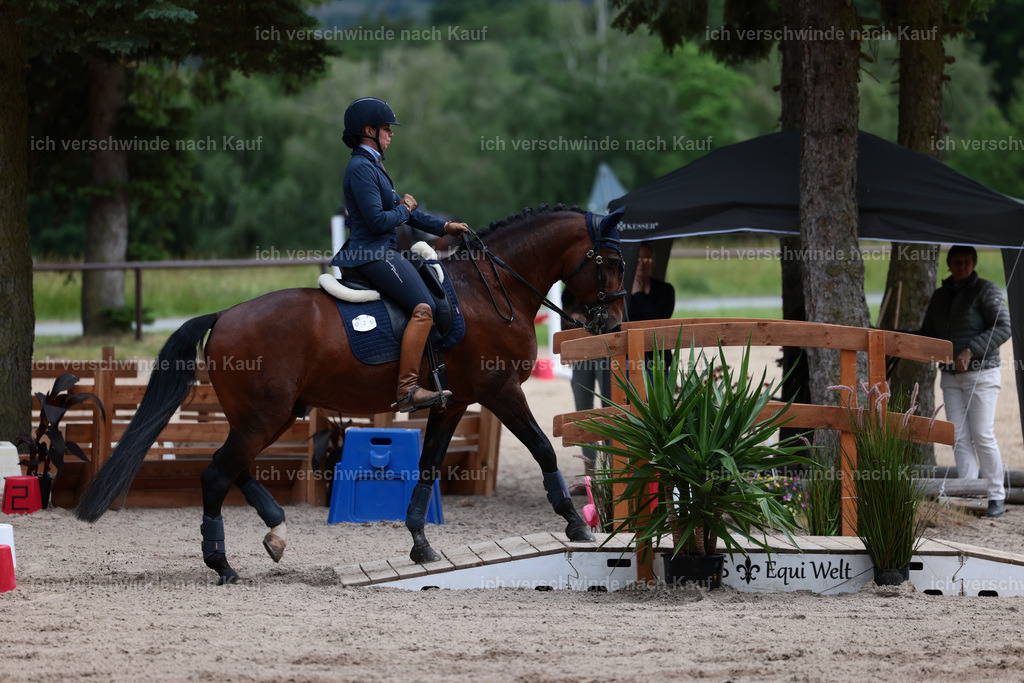 Masterclass_stoibphotography_C2_L6833.JPG | working equitationturnier fotograf videograf stoibphotography marixx film working equitation deutschland reitsport turnierfotografie eventfotografie equestrian events