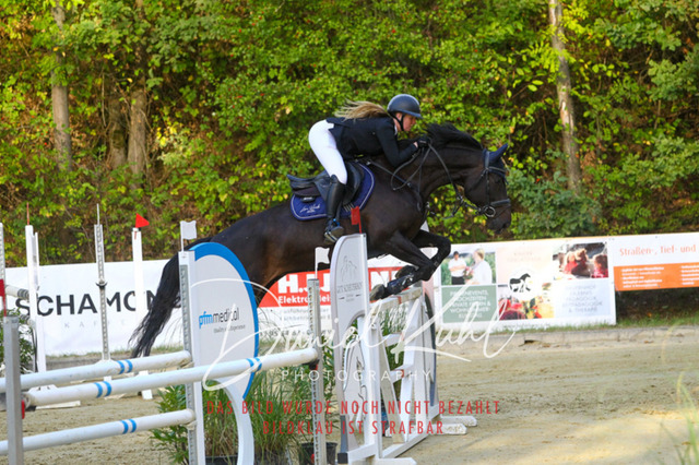 DKP42615 | Turniersportfotografie; Pferdefotografie; Dressurfotografie