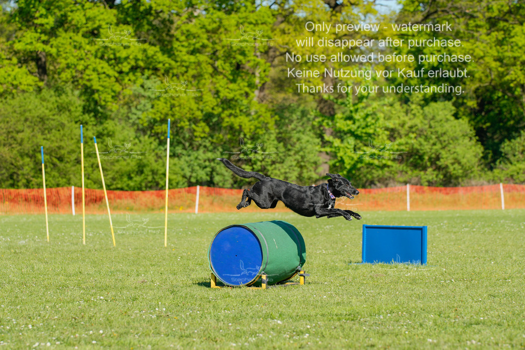 Sa_CSC-354 | stephaniefillaphotographie - Realisiert mit Pictrs.com