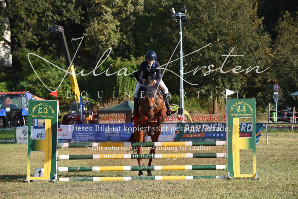DSC_5037 | Pferde- und Turnierfotografie in Westsachsen. Pferdeportraits, Auftragszeichnungen und intuitive Kunst.