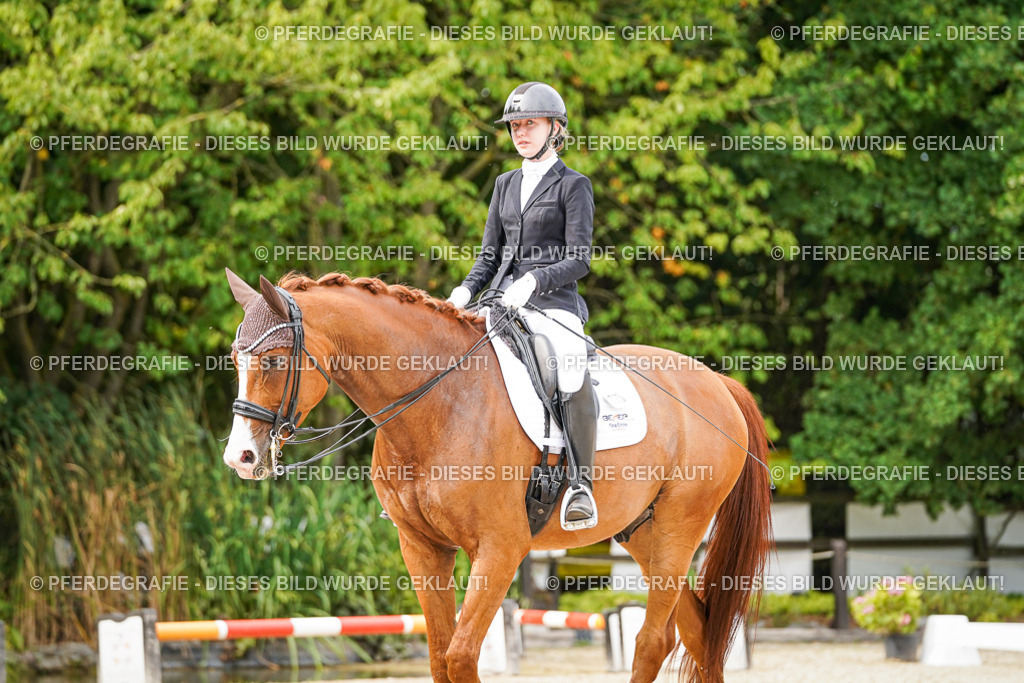 DSC07282 | Pferdegrafie