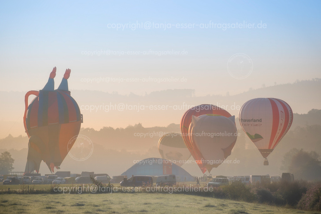 Verschiedene Formen von Heißluftballons starten im Nebel | Start der Heißluftballone in Oeventrop/Arnsberg im Morgennebel. Die Warsteiner Internationale Montgolfiade ist der Veranstalter. Die kopfstehende Maus hebt fast ab.