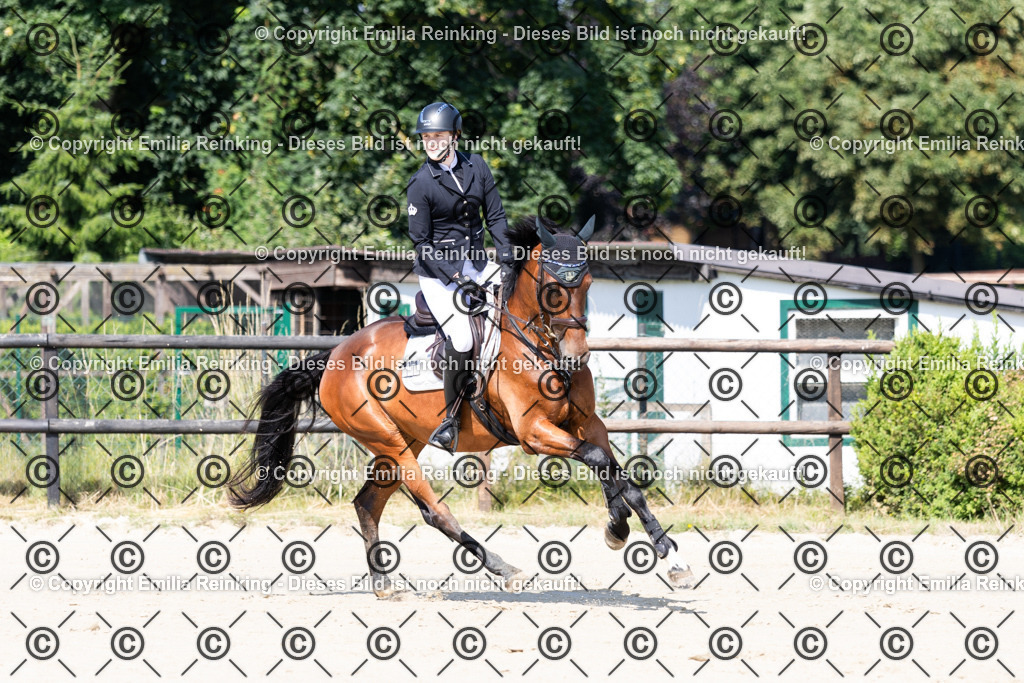 CL5A6512 | Emilia Reinking Fotografie - Realisiert mit Pictrs.com