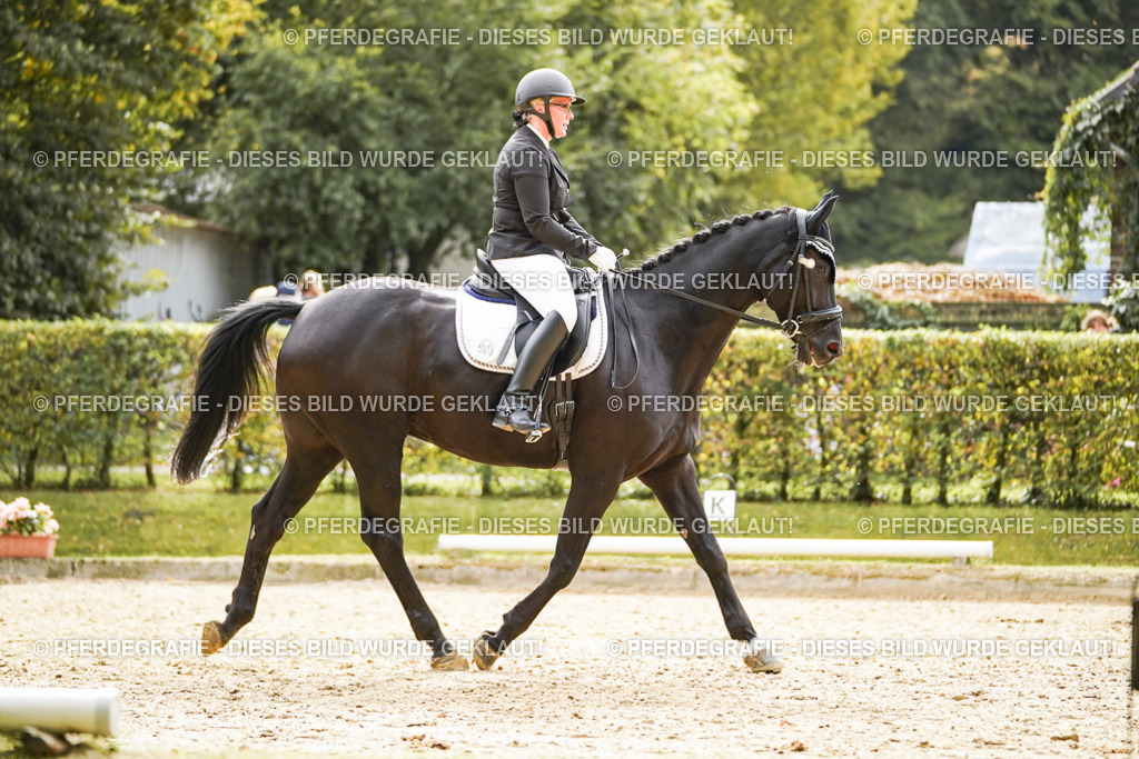 DSC01260 | Pferdegrafie