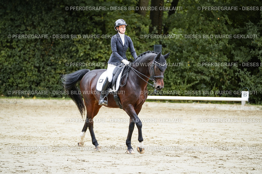 DSC09096 | Pferdegrafie