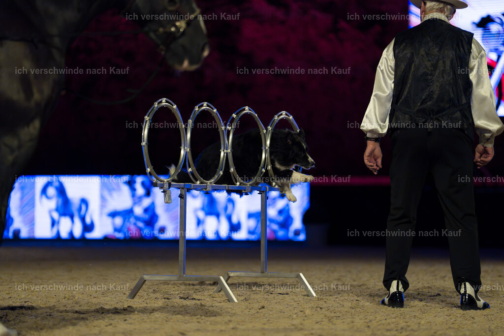Gala-157 | working equitationturnier fotograf videograf stoibphotography marixx film working equitation deutschland reitsport turnierfotografie eventfotografie equestrian events