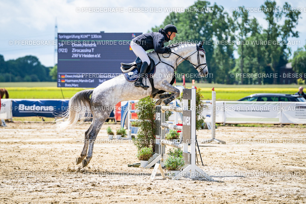 DSC04958 | Pferdegrafie