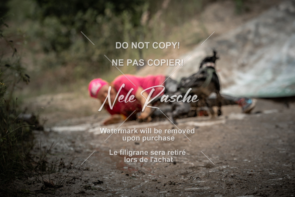 nelerasche_sa1700-Ende_262 | nelerasche