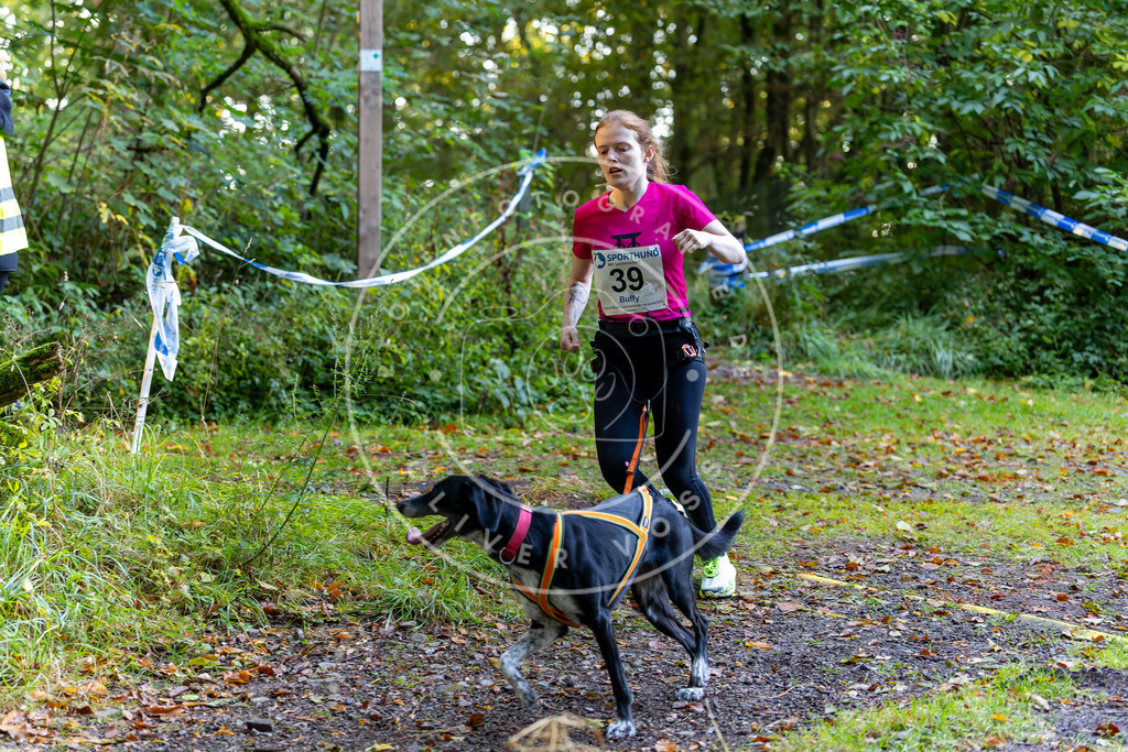 Pfotenfotografie_DV3A6800 | Hundefotografie, Tierfotograf, Pfotenfotografie, Fotoshooting Hund, Hunde Portrait, Hundesport, Hundeportraits, Heideshooting, Hunde, Sportfotograf, Hundefotograf, Turnierhundsport, THS,  - Realisiert mit Pictrs.com