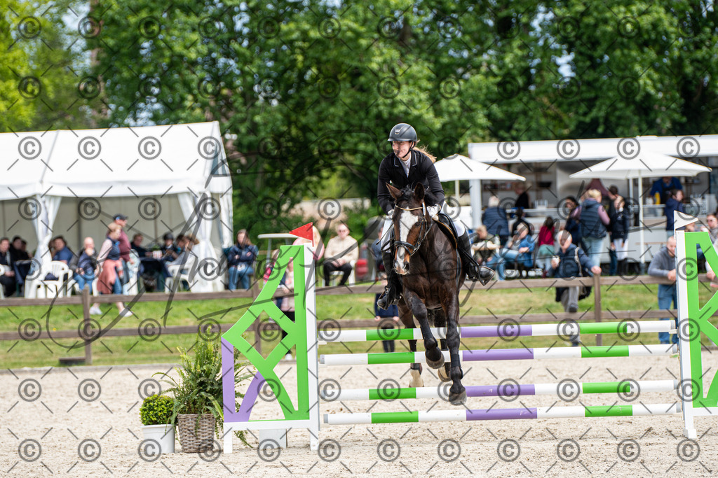 KPT_5534 | andre_photographic