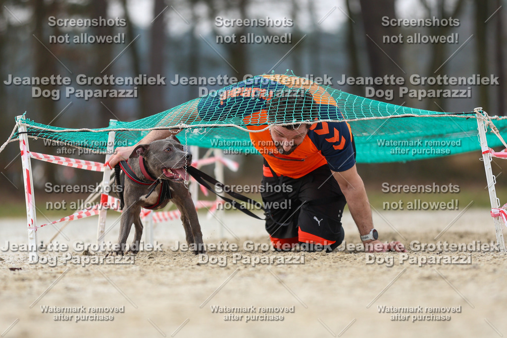 Dog Paparazzi - Strongdog North Mrz26-4448 | Dog Paparazzi Jeanette Grottendiek Fotografie & Videografie - Realisiert mit Pictrs.com