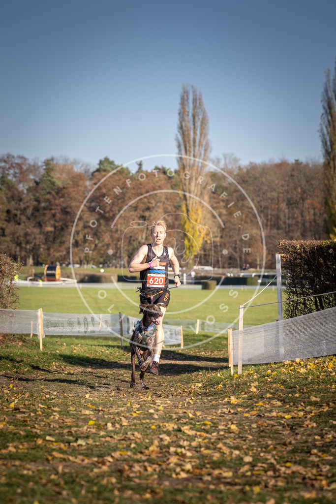 CaniXpix_DV3A9882 | Hundefotografie, Tierfotograf, Pfotenfotografie, Fotoshooting Hund, Hunde Portrait, Hundesport, Hundeportraits, Heideshooting, Hunde, Sportfotograf, Hundefotograf, Turnierhundsport, THS,  - Realisiert mit Pictrs.com