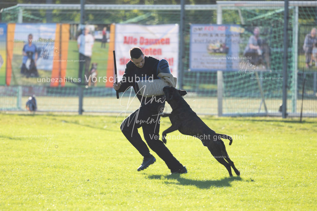 _16A4885 | Einzigartige Fotos von Hunden & Menschen –Actionfotos, Portraits, Vereinsaufnahmen & Paarshootings – authentisch, lebendig & mit Herz.