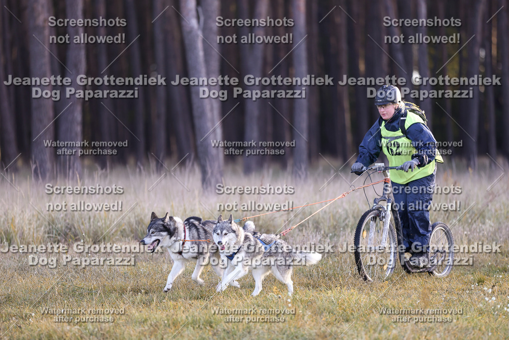 Dog Paparazzi - Elsholz 25 -32 | Dog Paparazzi Jeanette Grottendiek Fotografie & Videografie - Realisiert mit Pictrs.com