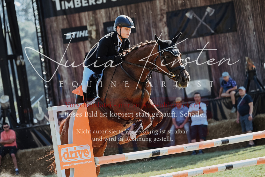 DSC_5460 | Pferde- und Turnierfotografie in Westsachsen. Pferdeportraits, Auftragszeichnungen und intuitive Kunst.