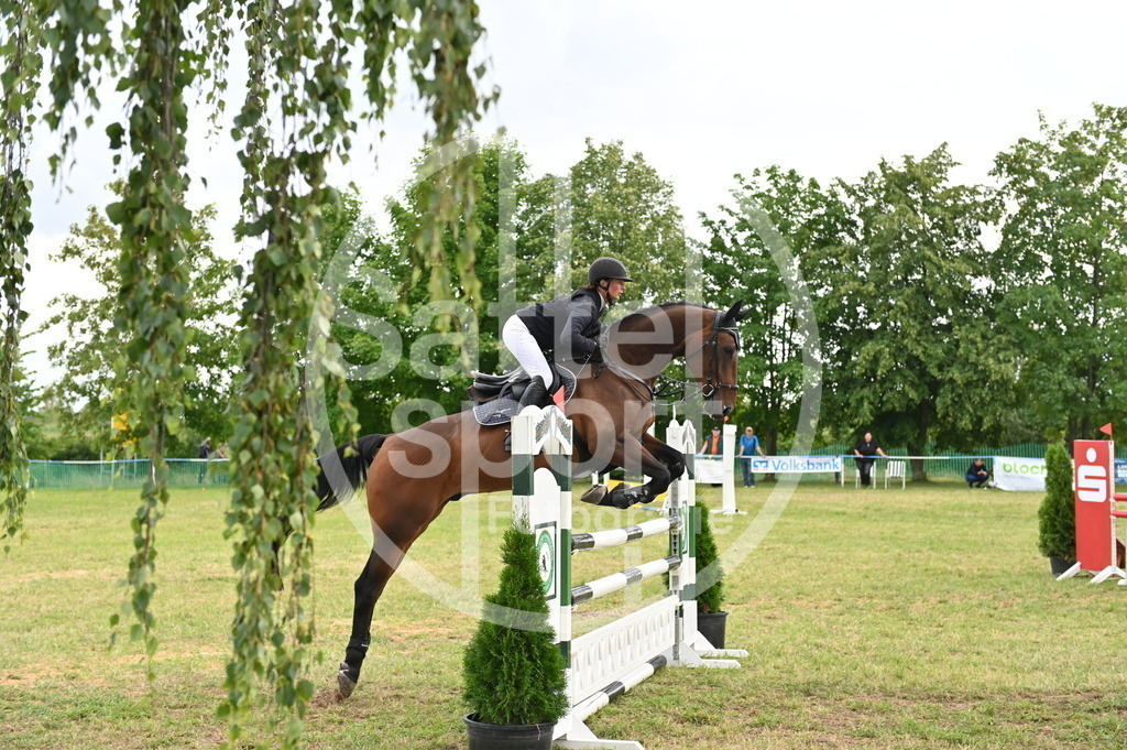 DSC_4333 | sattelsport - Realisiert mit Pictrs.com