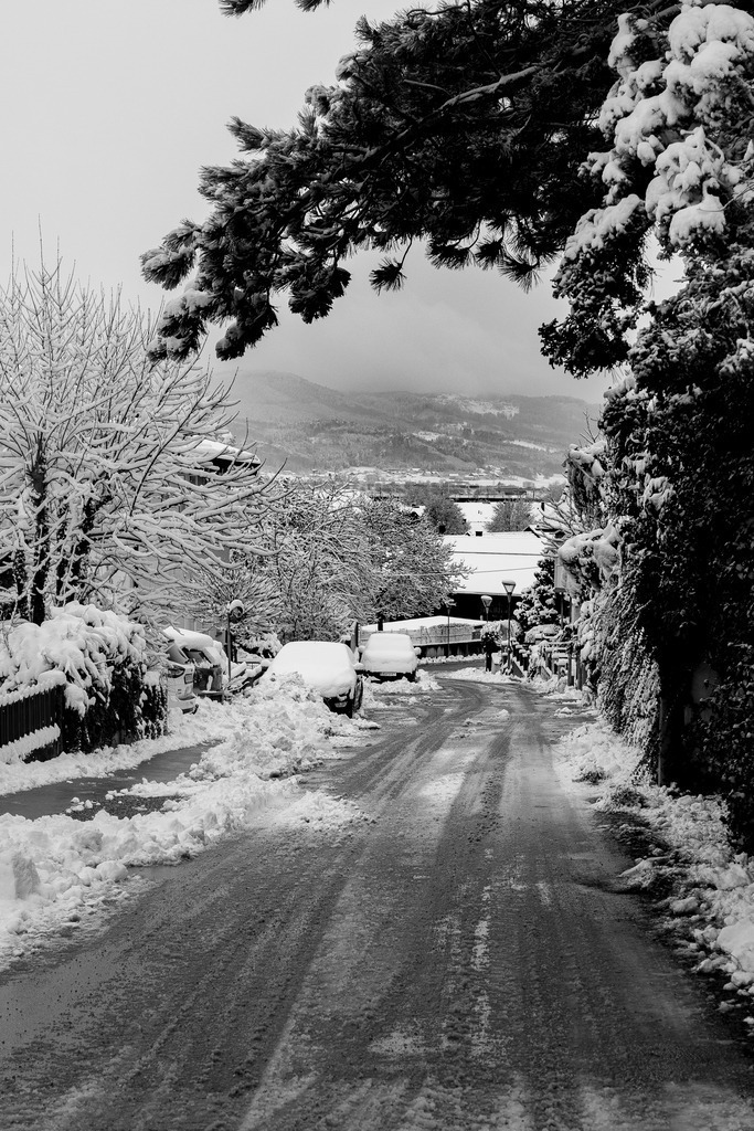 _ 3382_WINTER26_8015 | WInteraufnahmen Loosdorf 2026