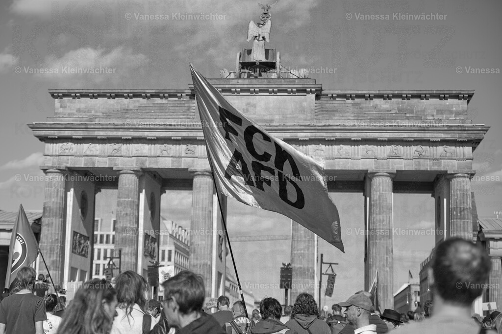 250511_AFDVerbot_BTor_11 | Vanessa Kleinwächter - Realisiert mit Pictrs.com