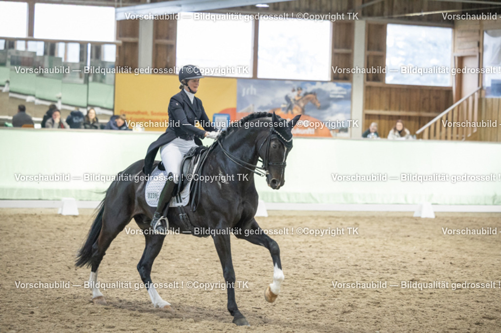 _D5A6932 | Emotionale Pferde- & People-Fotografie rund um Heidelberg, Leimen & Umgebung. Natürliche Fotos von Pferd, Mensch & Familie. Jetzt Termin sichern!