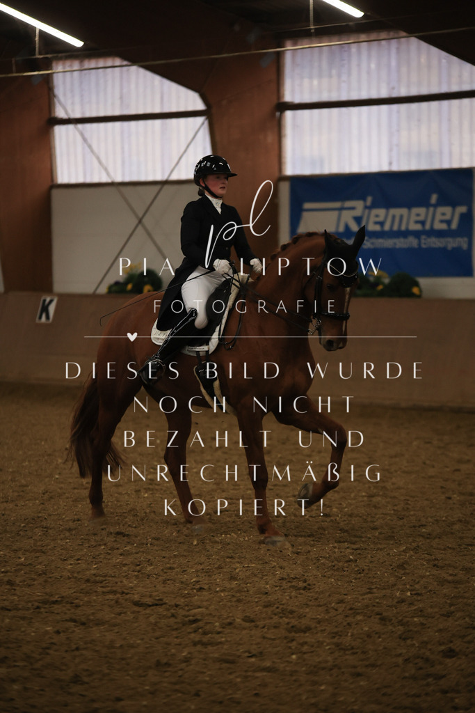 IMGT6427 | pl-fotografie