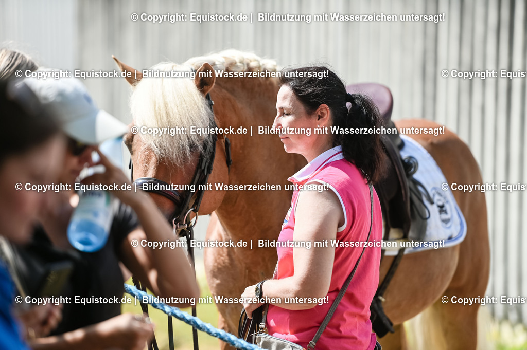 20230716_01_Dressurprüfung Kl.M_0234 | equistock