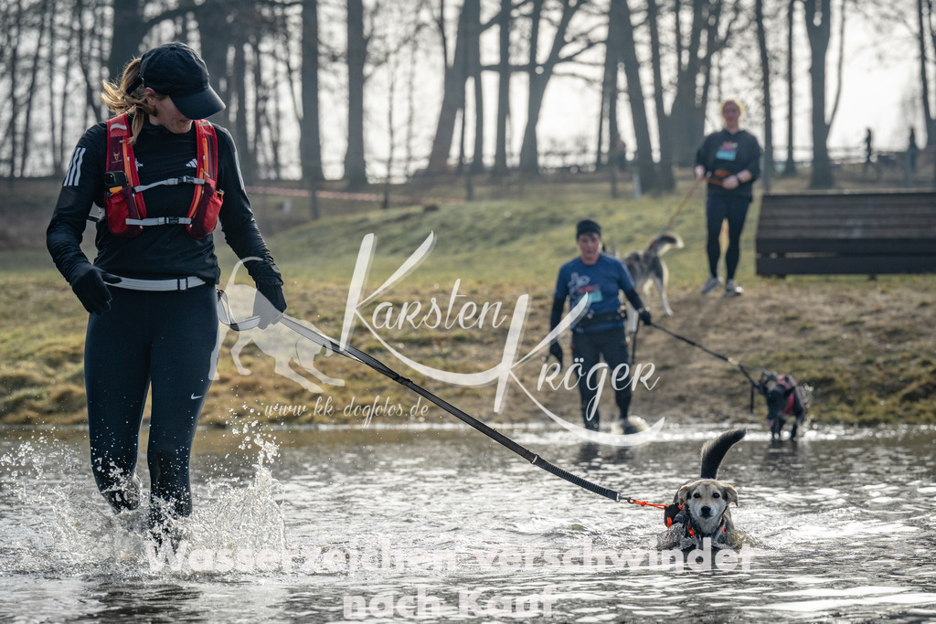 0955_ZZ94686 | kk-dogfotos