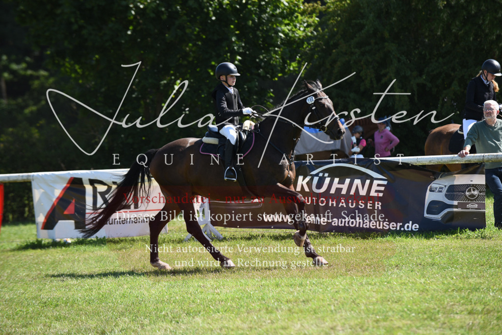 DSC_9376 | Pferde- und Turnierfotografie in Westsachsen. Pferdeportraits, Auftragszeichnungen und intuitive Kunst.