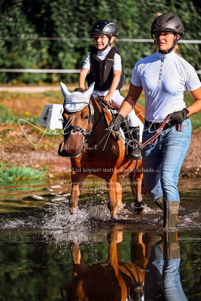 DSC_0489 | Pferde- und Turnierfotografie in Westsachsen. Pferdeportraits, Auftragszeichnungen und intuitive Kunst.