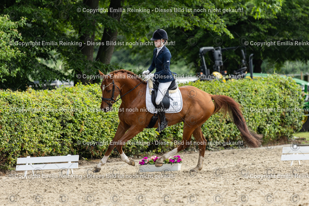 CL5A5087 | Emilia Reinking Fotografie - Realisiert mit Pictrs.com