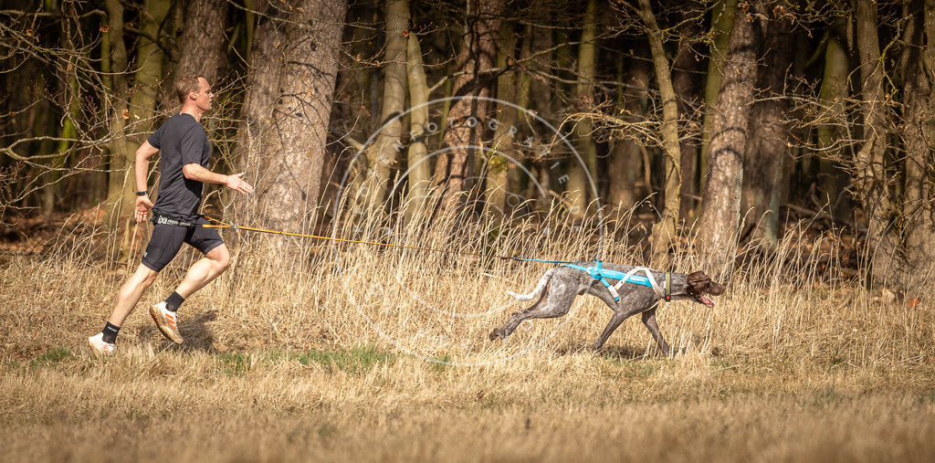 DV3A4951 | Hundefotografie, Tierfotograf, Pfotenfotografie, Fotoshooting Hund, Hunde Portrait, Hundesport, Hundeportraits, Heideshooting, Hunde, Sportfotograf, Hundefotograf, Turnierhundsport, THS,  - Realisiert mit Pictrs.com