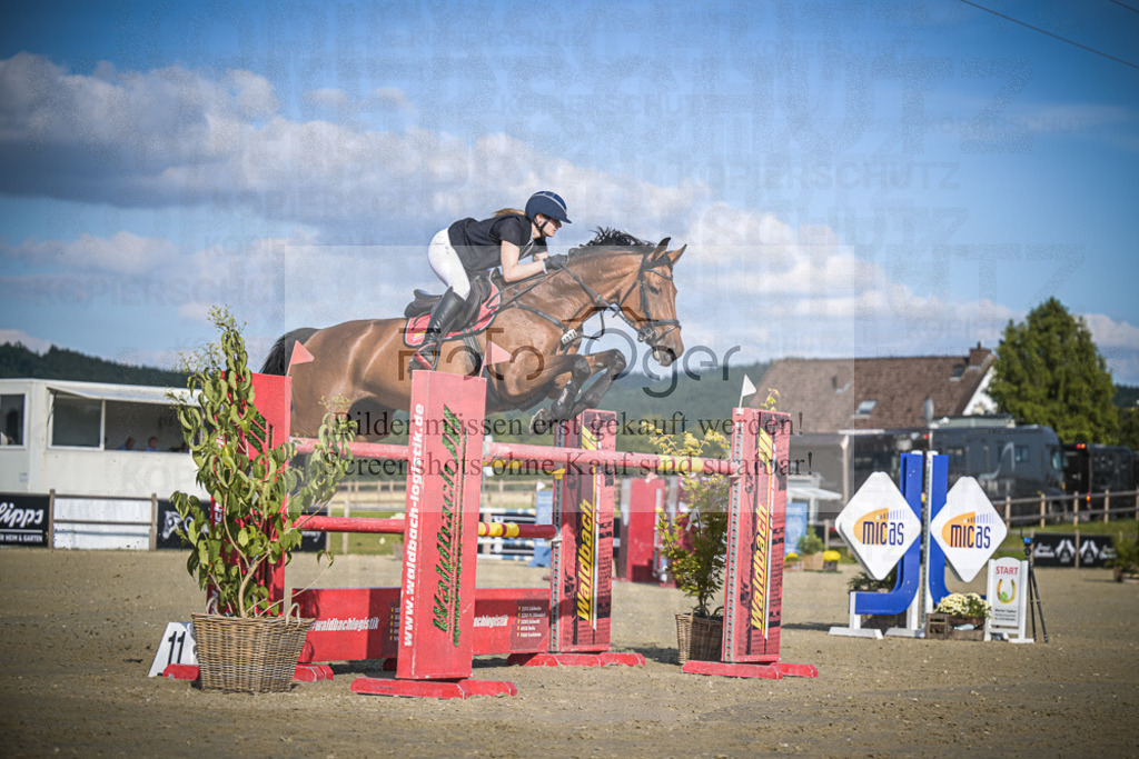 DOS_2550 | Entdecke hochwertige Reitturnierfotos von Foto Oger. Professionell, emotional und authentisch – jetzt Lieblingsmomente im Shop bestellen.Deutschlandweite Turnierfotografie. - Realisiert mit Pictrs.com